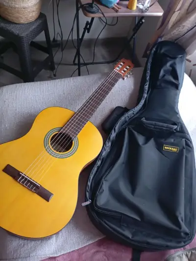 Guitarra acústica Ibánez con funda Rockbag - miniatura 1