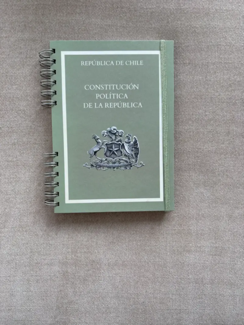 Constitución Política de la República de Chile - 1