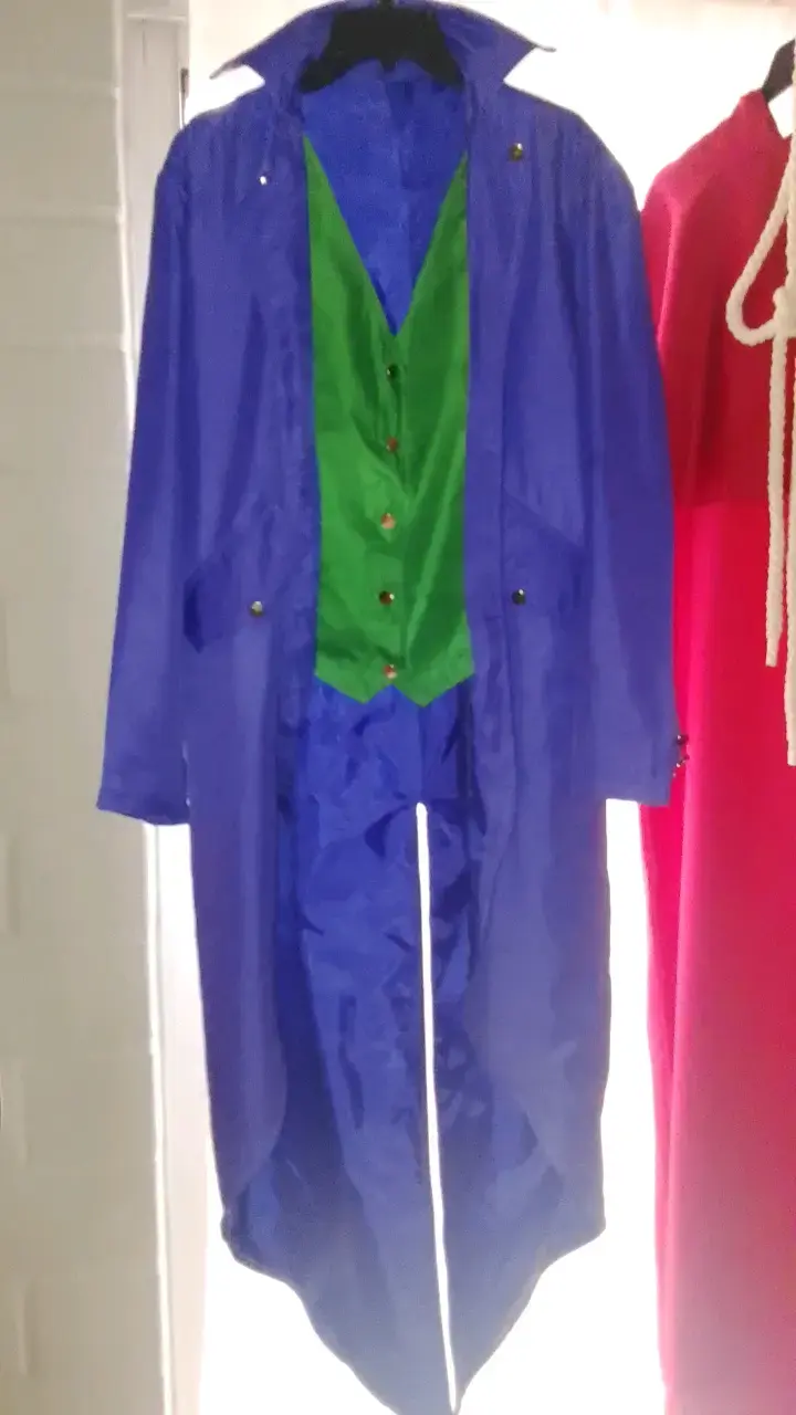 Disfraz Wason adulto
