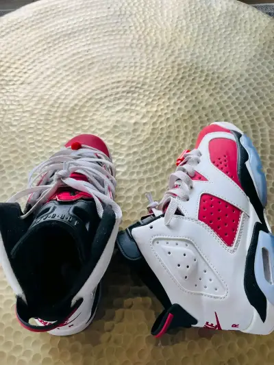 Zapatillas deportivas Nike Jordan 6 retro carmine - miniatura 1