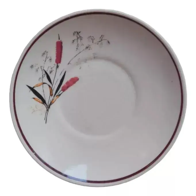 Plato Para Té Lozapenco - 1