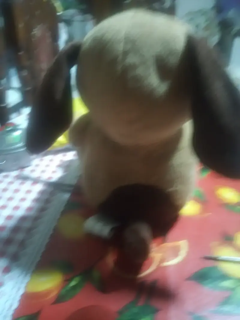 Peluche de perro con corazón rojo - 3