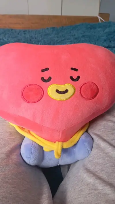Peluche Tata BT21 Baby Line Friends - miniatura 1