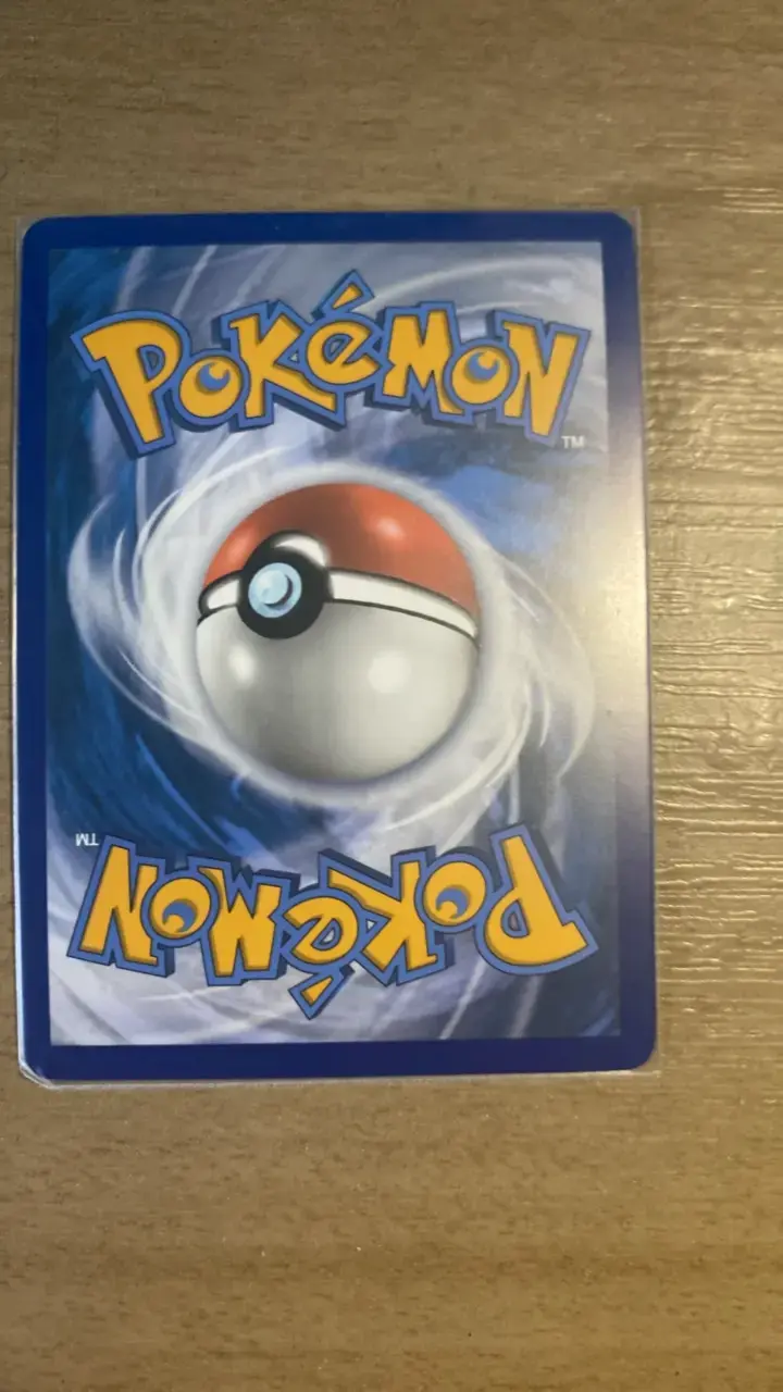 Carta Pokémon Boltund V Holográfica - 2
