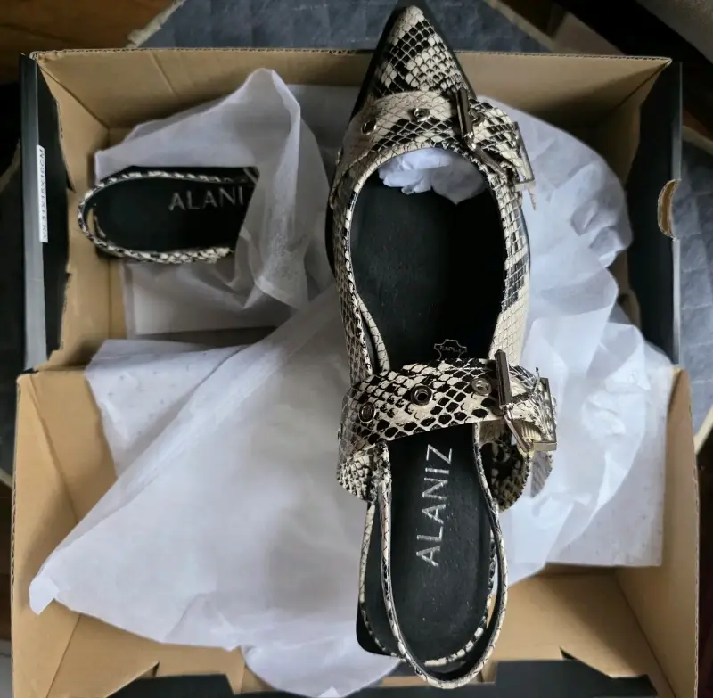 Ballerinas Flat Mujer Alaniz - 1