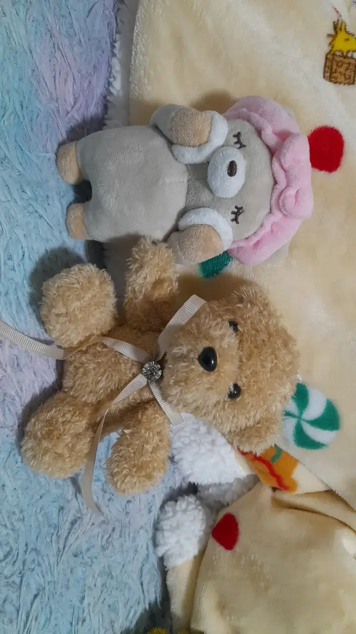 Oso de peluches, llaveros