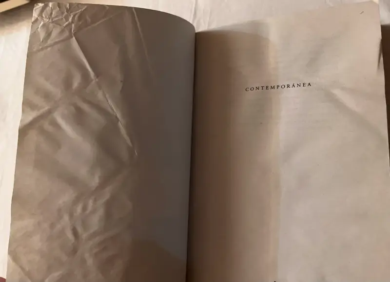 Libro 'Bomarzo' de Manuel Mujica Lainez - 6