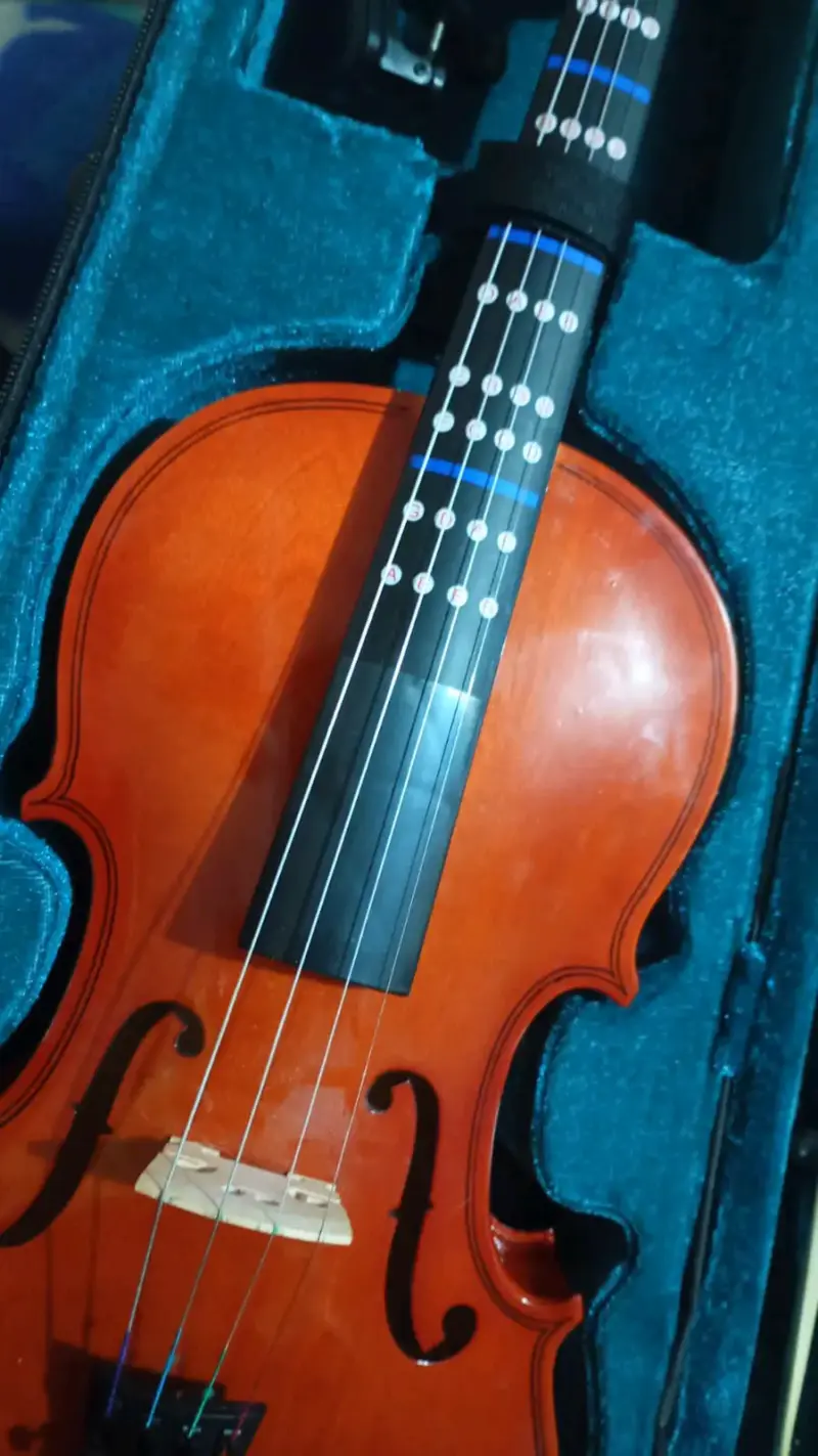 Violin semi-nuevo - 1