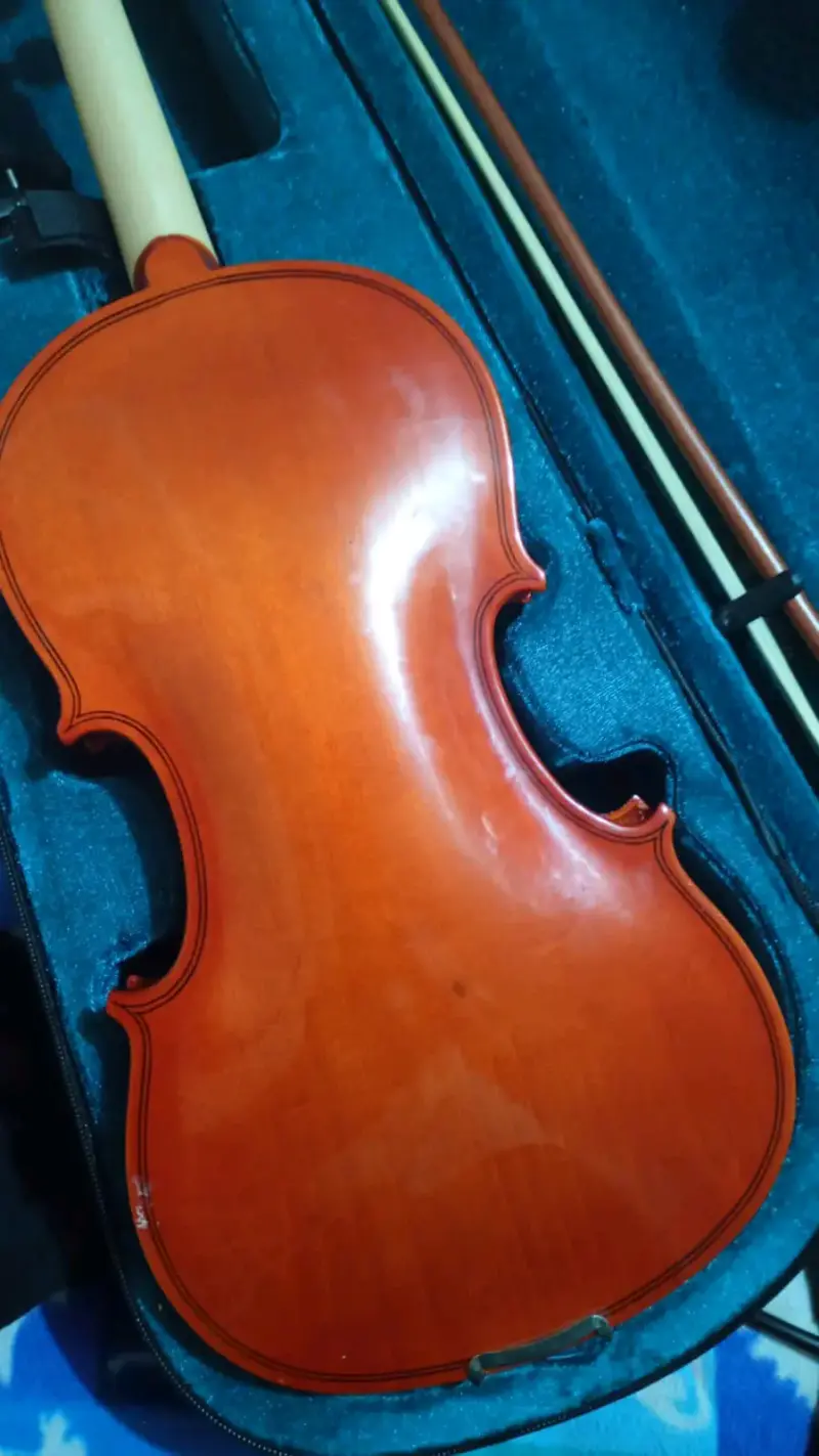 Violin semi-nuevo - 2