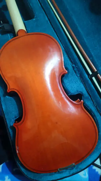 Violin semi-nuevo - miniatura 2