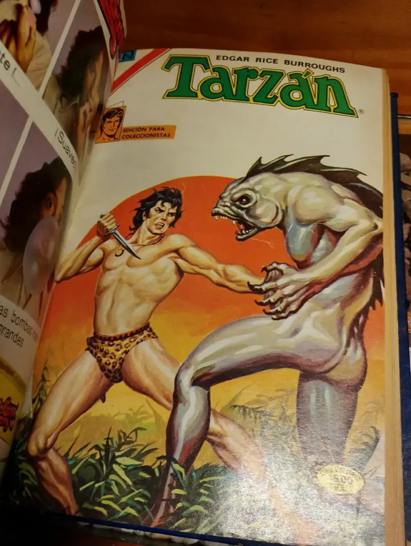 Cómic " Tarzán de los Monos" (1979-1980) - 5