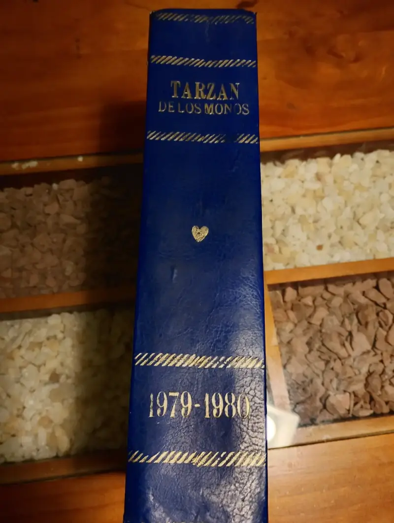 Cómic " Tarzán de los Monos" (1979-1980) - 6