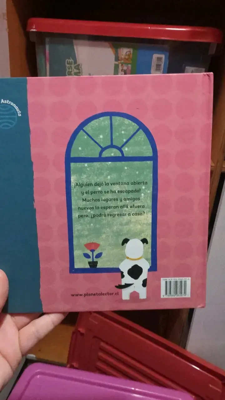 Libro infantil 'La Ventana' de Paula Vásquez - 4