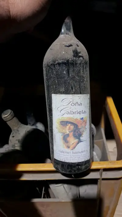 Botellas de vino antiguas Viña Tarapacá y otras - miniatura 3