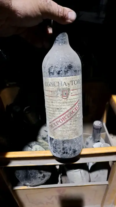 Botellas de vino antiguas Viña Tarapacá y otras - miniatura 4