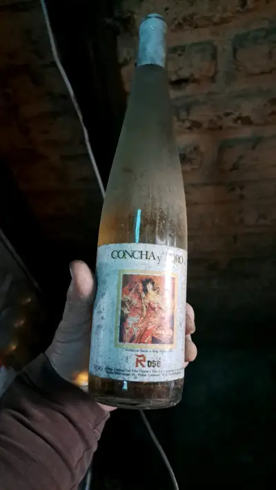 Botellas de vino antiguas Viña Tarapacá y otras - miniatura 6