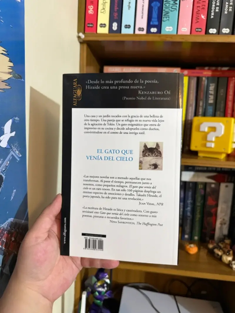 El gato que venía del cielo de Takashi Hira - 2