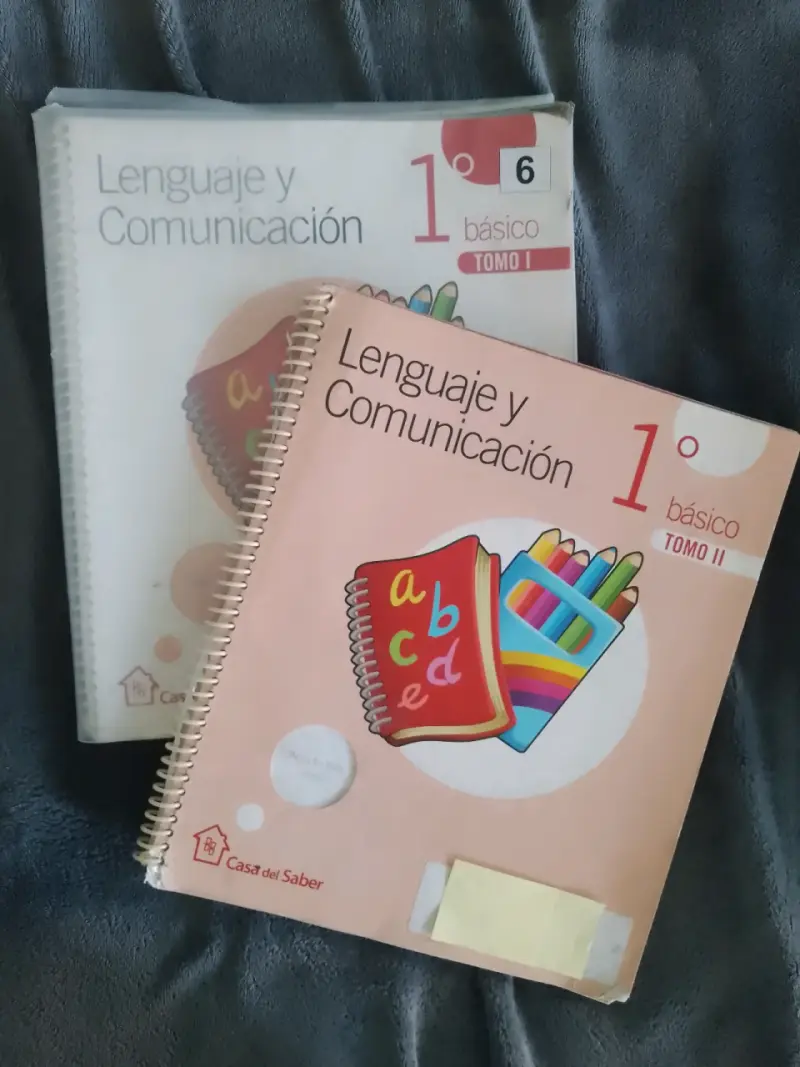 Libros Lenguaje y C. 1° Básico. Santillana