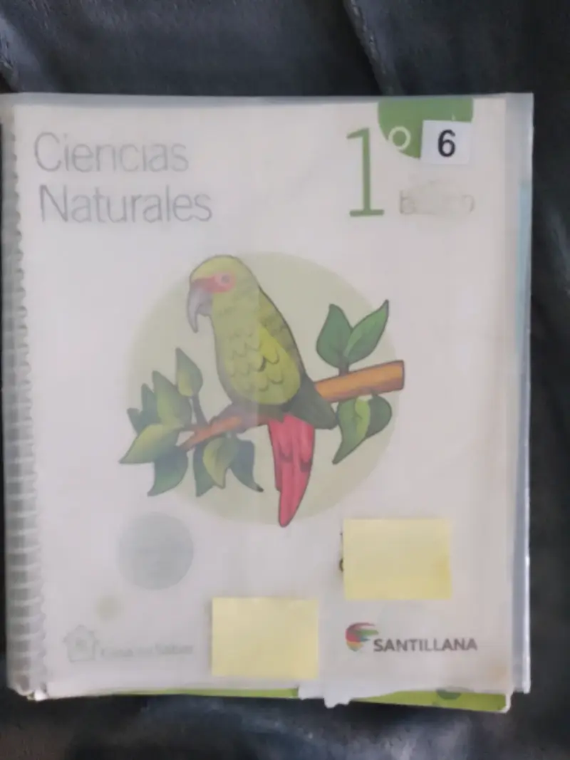 Libro Ciencias Naturales 1° Básico Santillana