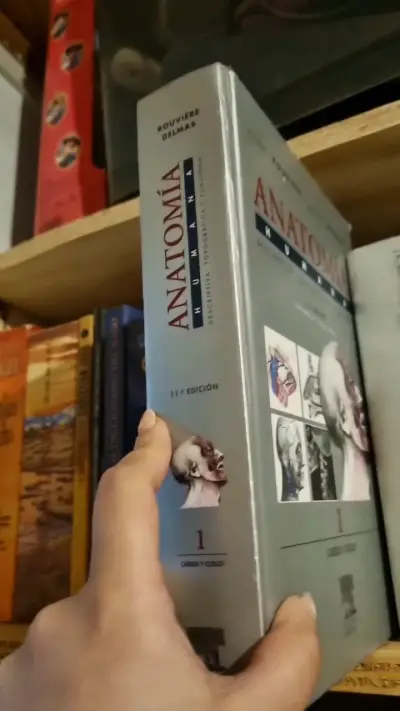 Libro Anatomía Humana Rouvière Cabeza y Cuello - miniatura 2