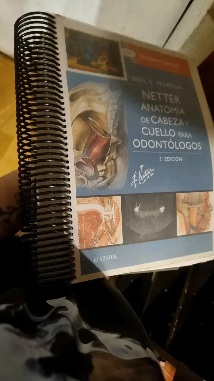 Netter Anatomía de Cabeza y Cuello para Odont - 2