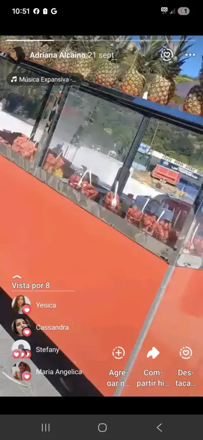 Carro de venta de frutas con vitrina - miniatura 2