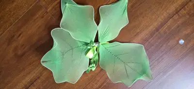 Disfraz de hada verde para niña con alas 3-4 años - miniatura 4