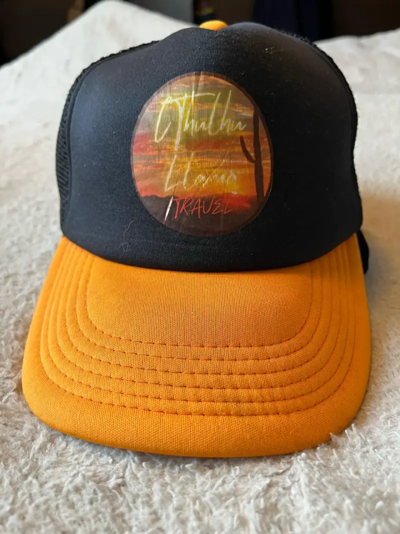 Lote de gorras variadas de marcas y estilos - 2