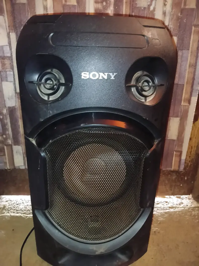 Parlante Sony de alta potencia