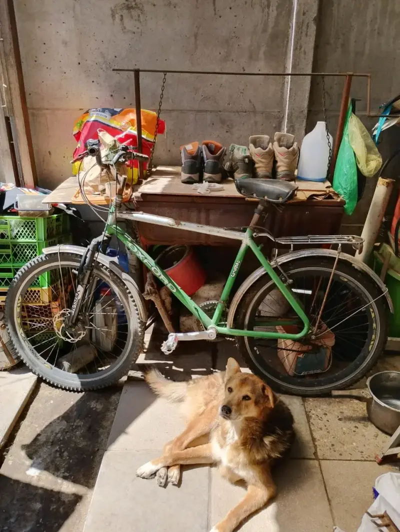 Bicicleta de montaña verde usada
