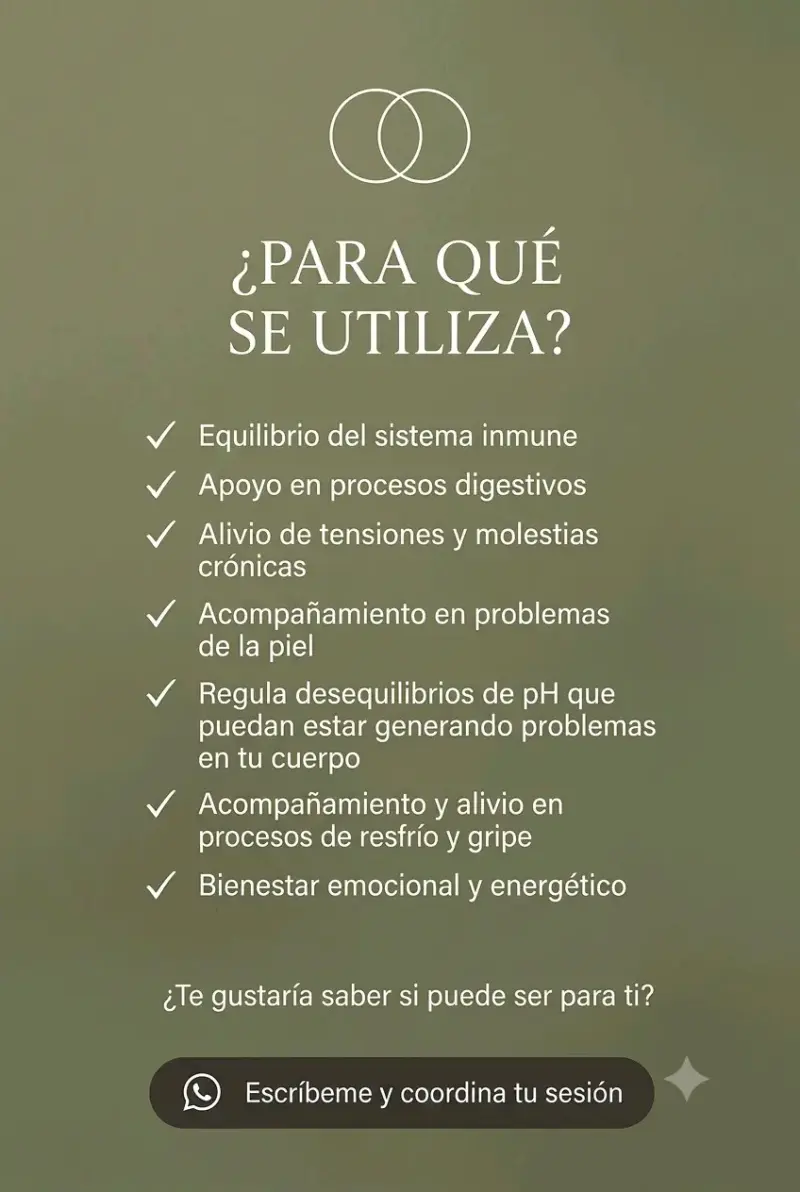 Terapia de Biomagnetismo - 4