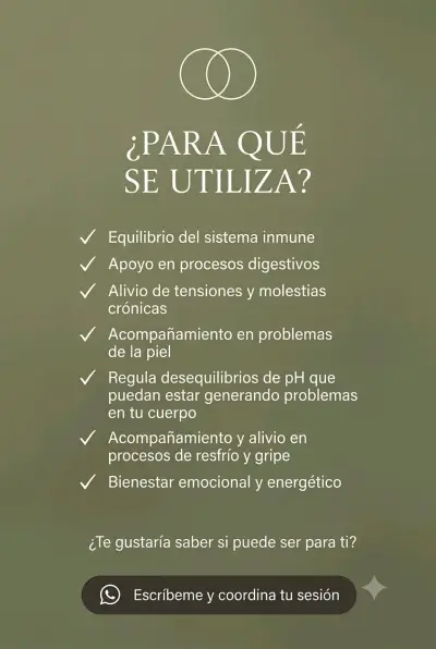 Terapia de Biomagnetismo - miniatura 4