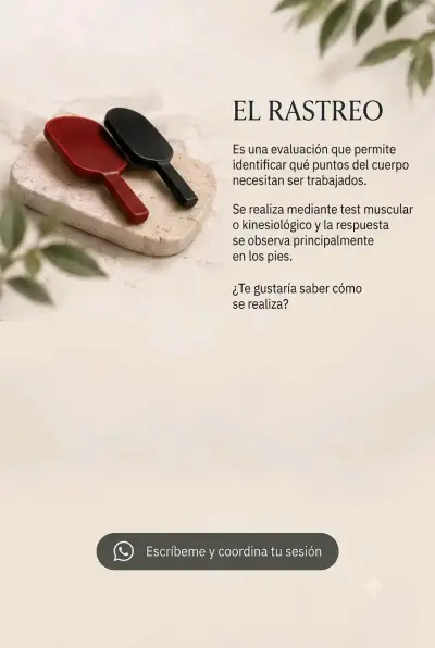 Terapia de Biomagnetismo - miniatura 5