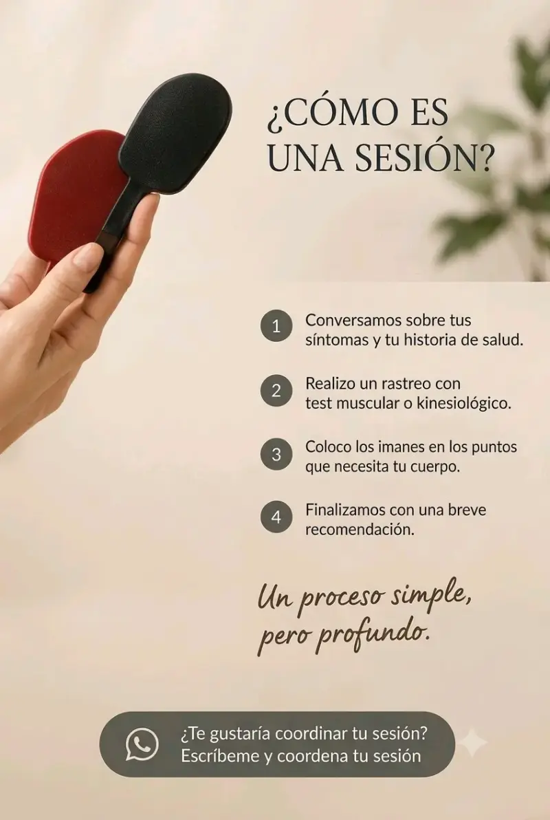 Terapia de Biomagnetismo - 6