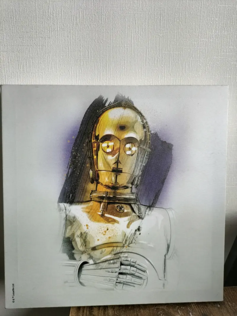 Cuadro de arte C-3PO y Stormtrooper 30x30 cm