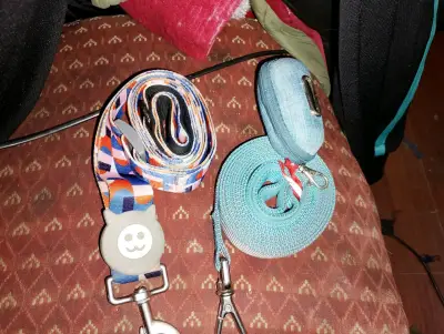 Pack de 2 Correas de Paseo y Entrenamiento - miniatura 1