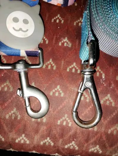 Pack de 2 Correas de Paseo y Entrenamiento - miniatura 2