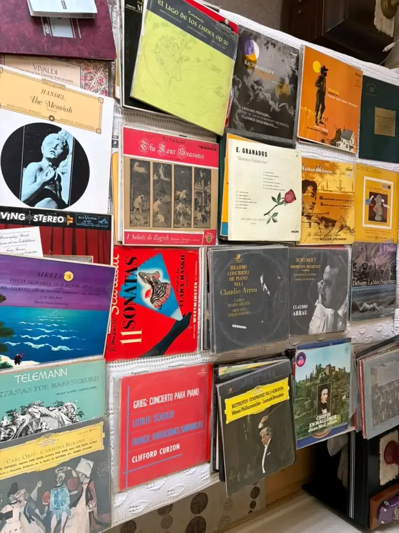 Colección de Discos de Vinilo Clásicos