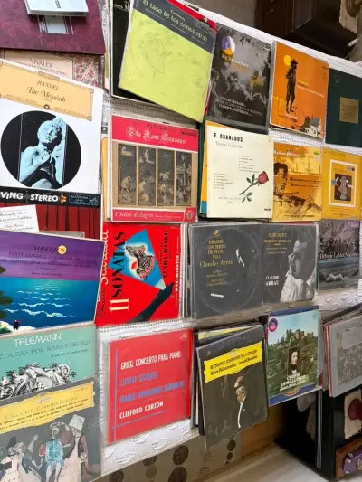 Colección de Discos de Vinilo Clásicos - miniatura 1