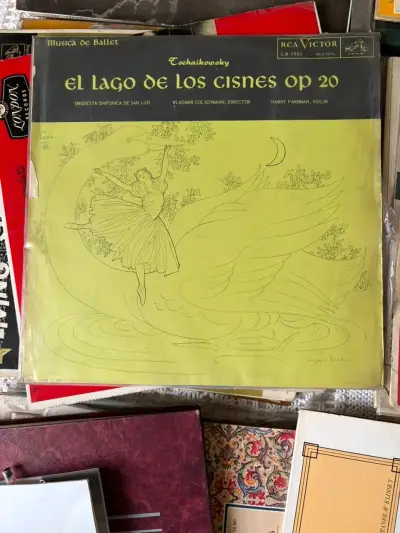 Colección de Discos de Vinilo Clásicos - miniatura 5