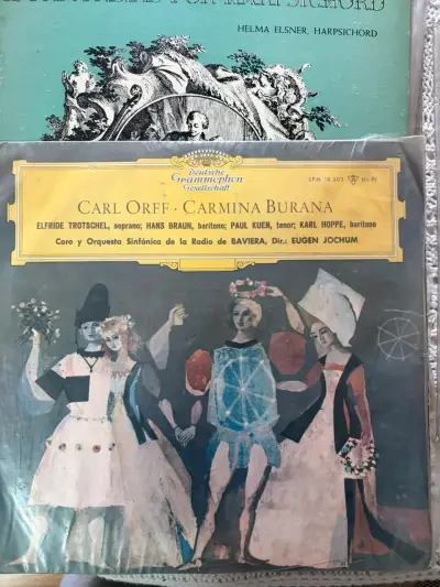 Colección de Discos de Vinilo Clásicos - miniatura 6