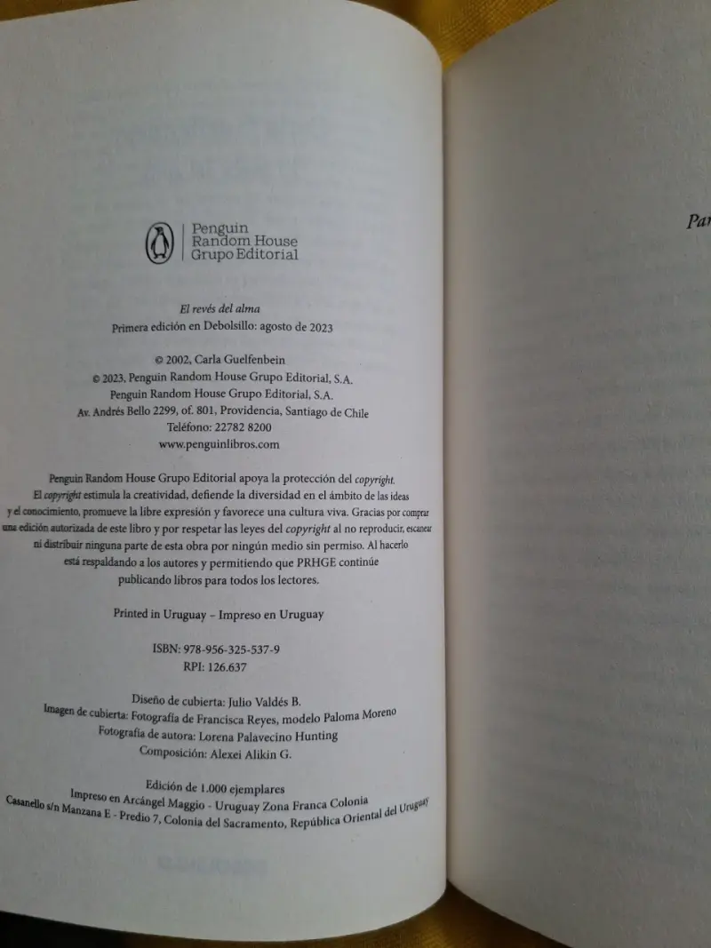 Libro 'El revés del alma' de Carla Guelfenbein - 3