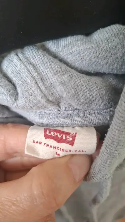 Polerón gris Levi's con capucha - miniatura 2