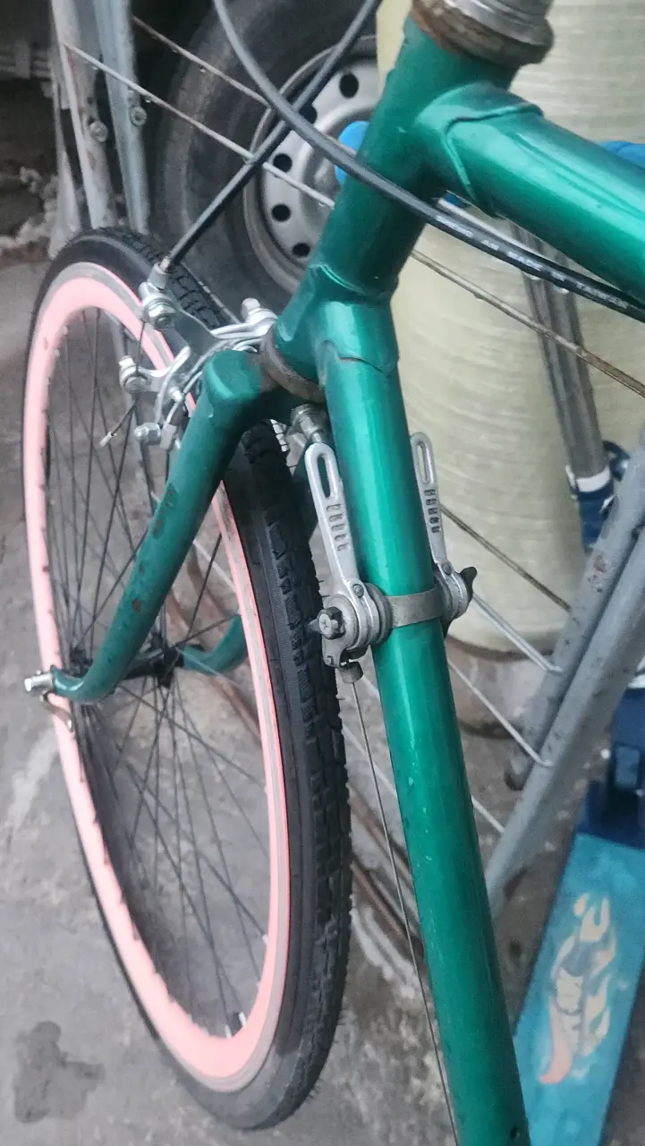 Bicicleta urbana verde con llantas rosadas - 5