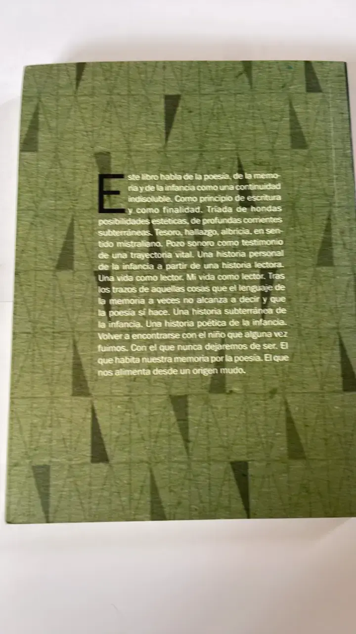 Libro 'Qué Será De Los Niños Que Fuimos' de Claudio Guerrero - 2