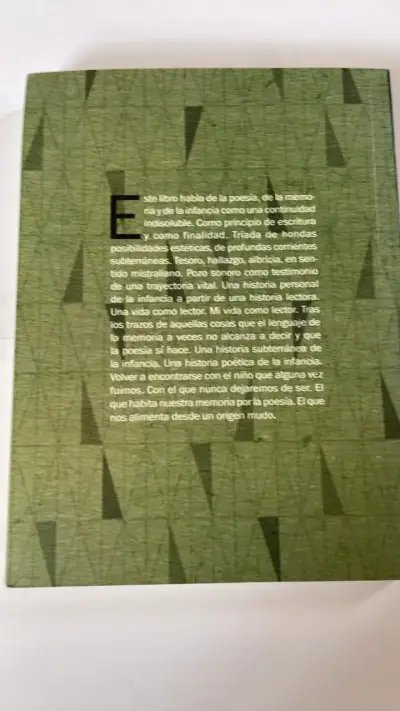 Libro 'Qué Será De Los Niños Que Fuimos' de Claudio Guerrero - miniatura 2
