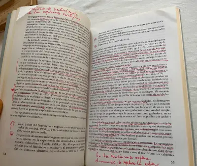 Libro Sociedad y Teoría de Sistemas - miniatura 6