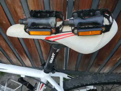Bicicleta de montaña Giant revel 1 - miniatura 3