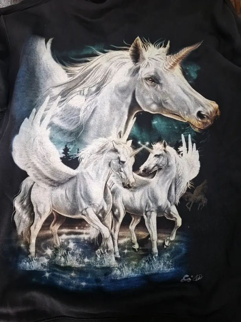 Polerón con capucha de unicornios Caballo L - 5