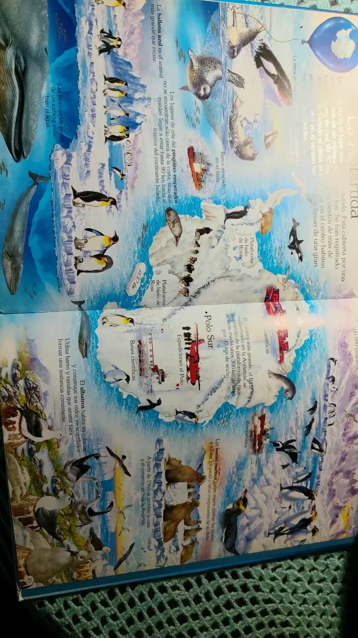 Atlas Infantil de los Animales Susaeta - 2